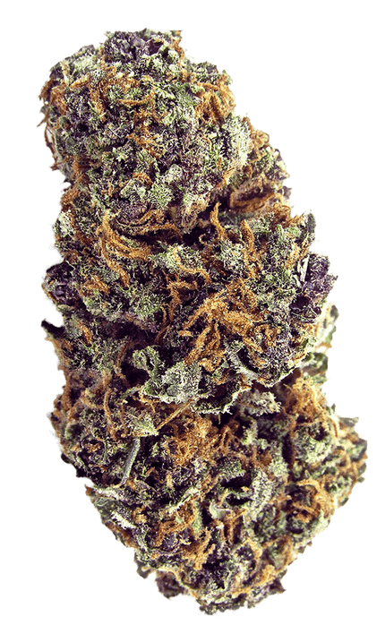 Forbidden Fruit
